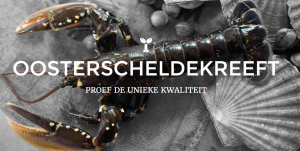 Oosterschelde kreeft